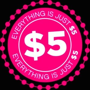 Entire closet is just $5